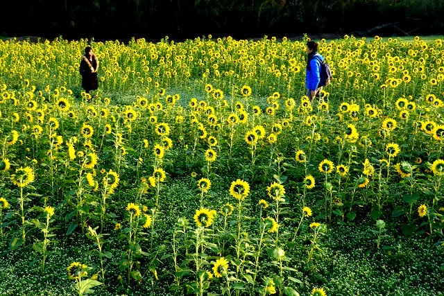 20251102-xgkif 20251102-xgkif