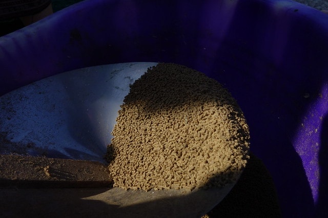 20251102-z9y0q 20251102-z9y0q