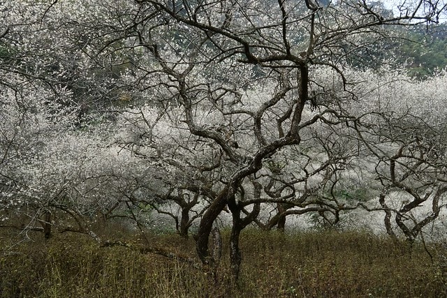 20251102-0fjo0 20251102-0fjo0