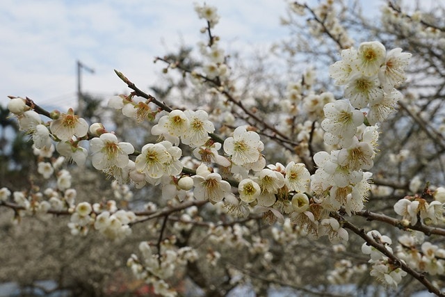 20251102-1hpgs 20251102-1hpgs