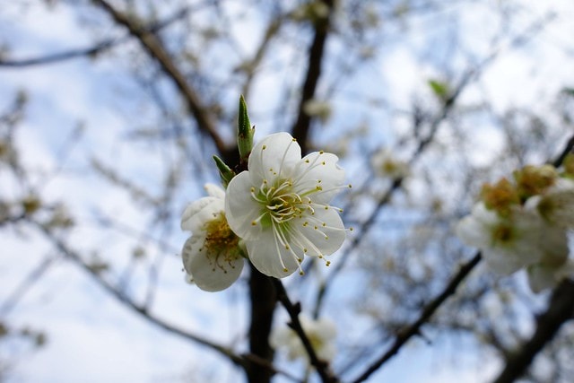 20251102-485du 20251102-485du