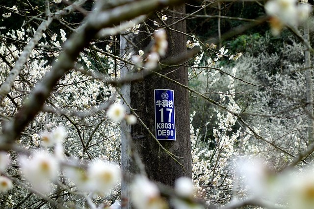 20251102-6jul2 20251102-6jul2