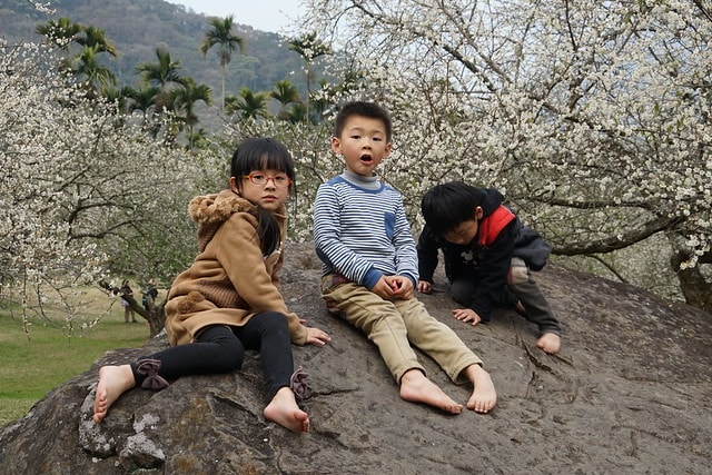 20251102-7nfaj 20251102-7nfaj