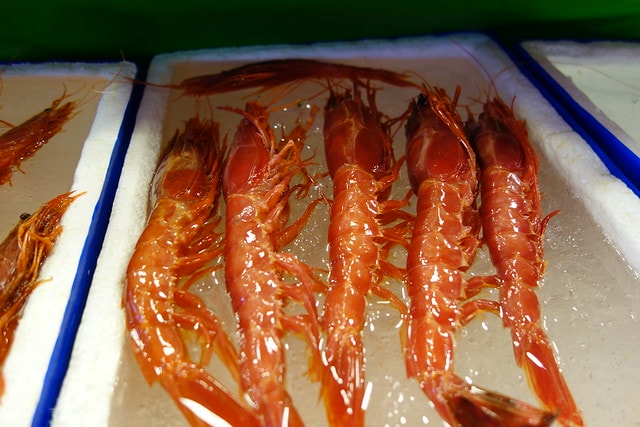 20251102-7oq5z 20251102-7oq5z