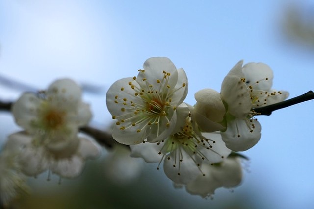 20251102-896fj 20251102-896fj