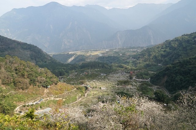 20251102-8ztp1 20251102-8ztp1