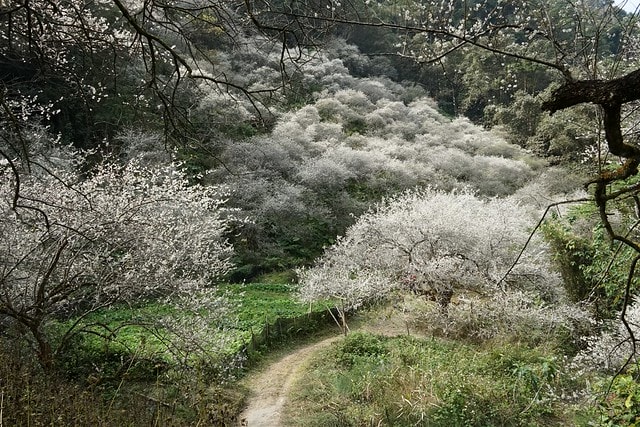 20251102-9cs8k 20251102-9cs8k