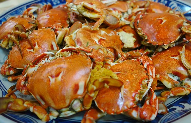 20251102-9ve84 20251102-9ve84