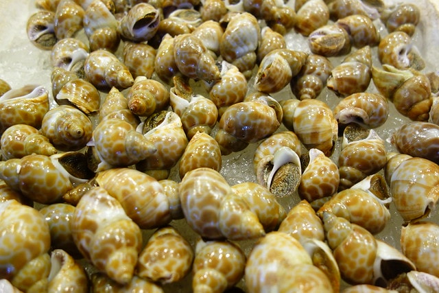 20251102-ab7os 20251102-ab7os