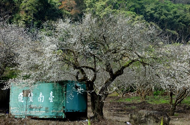 20251102-agchk 20251102-agchk