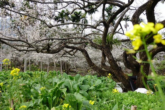 20251102-ayrtm 20251102-ayrtm