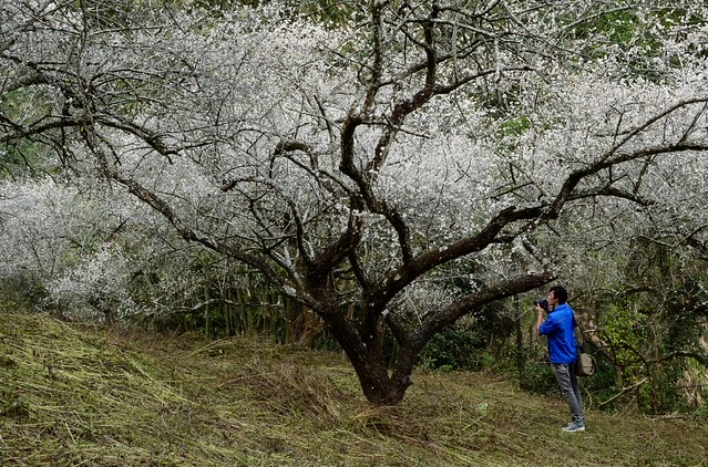 20251102-bqexn 20251102-bqexn