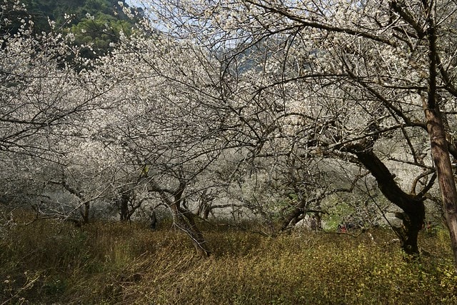 20251102-cbz1e 20251102-cbz1e