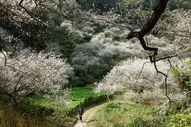 20251102-czqep 20251102-czqep