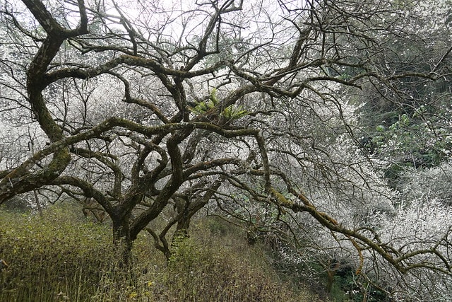 20251102-dw17i 20251102-dw17i