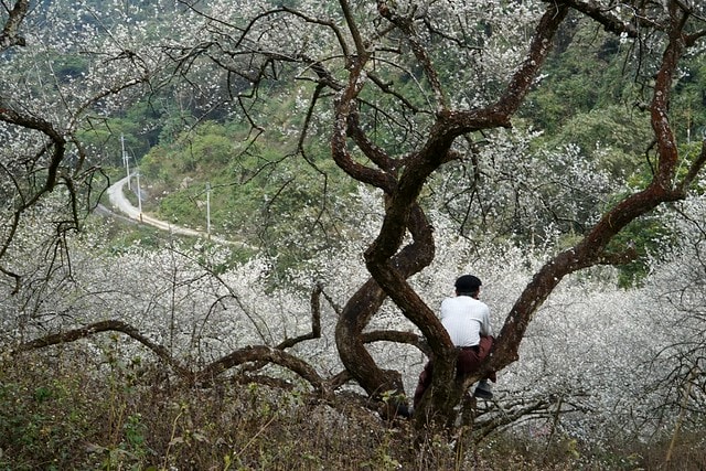 20251102-efr0g 20251102-efr0g