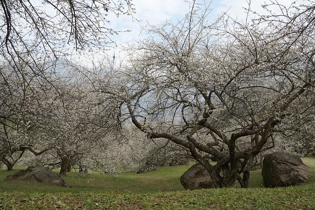 20251102-g6hqx 20251102-g6hqx