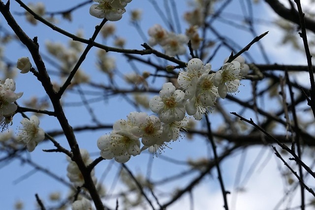 20251102-gjsiw 20251102-gjsiw