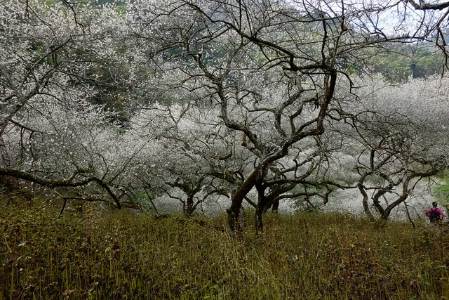 20251102-iv7v1 20251102-iv7v1