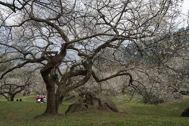 20251102-j3i6r 20251102-j3i6r