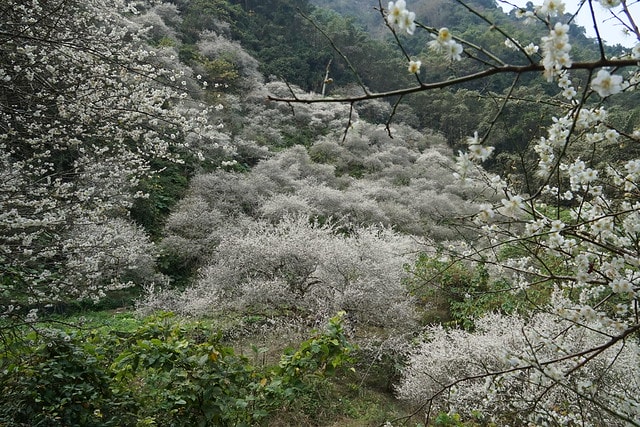 20251102-lrh2l 20251102-lrh2l