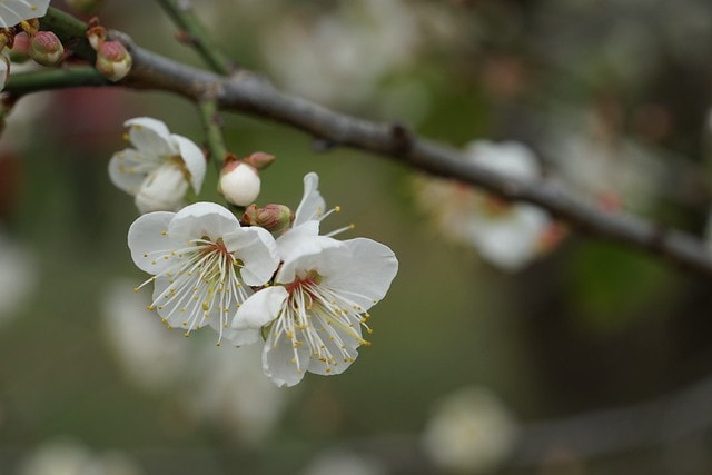 20251102-lzywx 20251102-lzywx