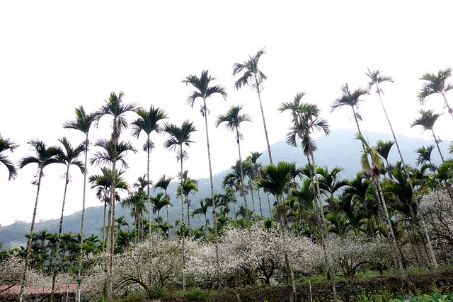 20251102-mjnev 20251102-mjnev