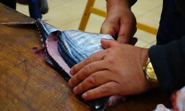 20251102-mkogj 20251102-mkogj