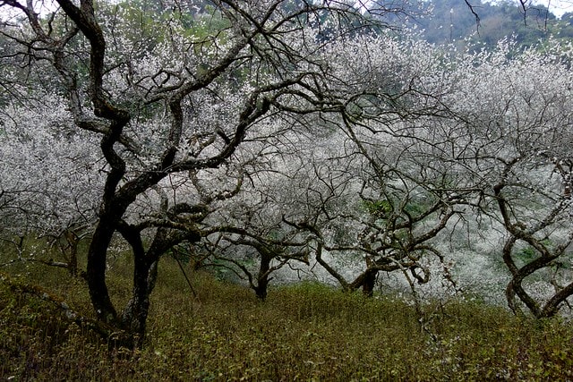 20251102-mutrg 20251102-mutrg