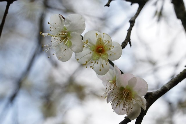 20251102-qpubh 20251102-qpubh