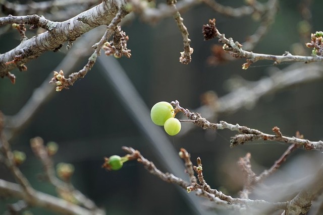 20251102-rqh5x 20251102-rqh5x