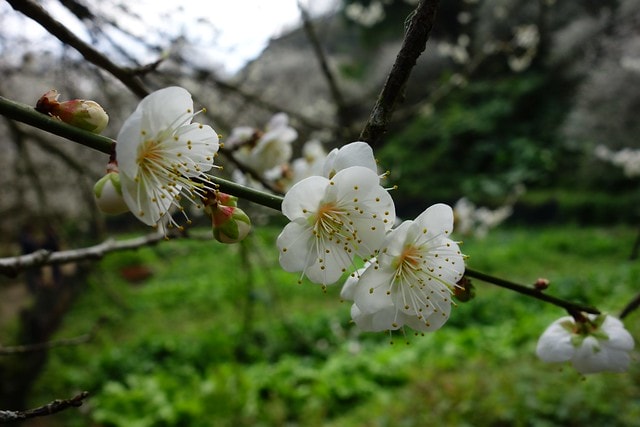 20251102-t62i5 20251102-t62i5