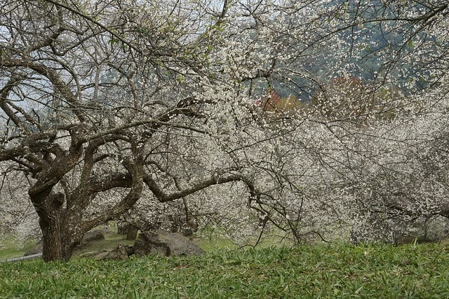 20251102-toncn 20251102-toncn