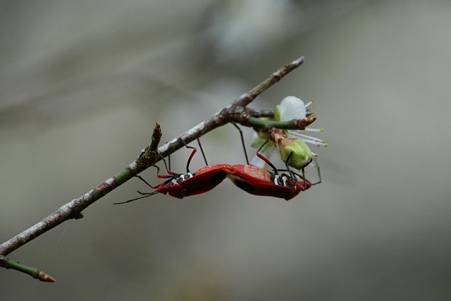 20251102-w43vw 20251102-w43vw