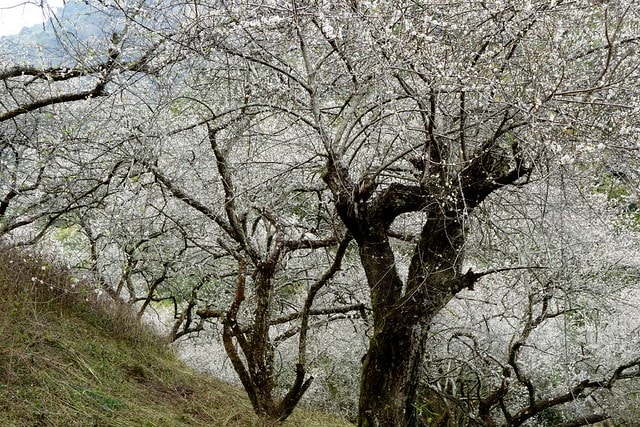 20251102-x5jw5 20251102-x5jw5