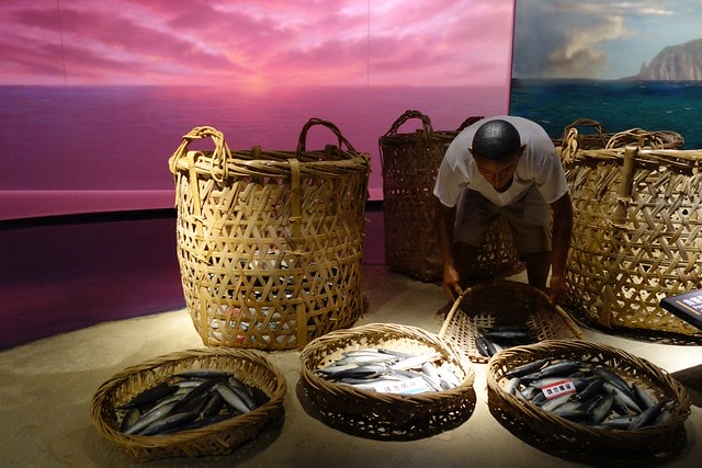 20251102-xsq6z 20251102-xsq6z