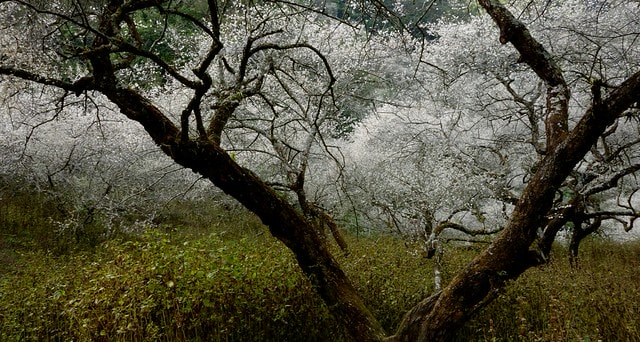 20251102-ze9vi 20251102-ze9vi