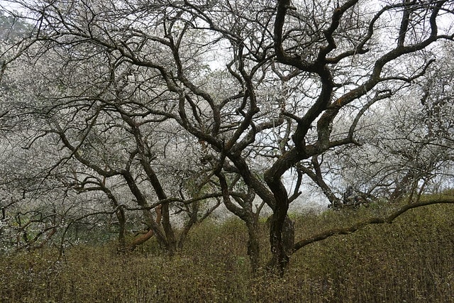 20251102-zspbh 20251102-zspbh