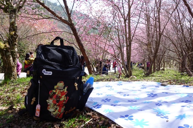 20251102-33bmx 20251102-33bmx