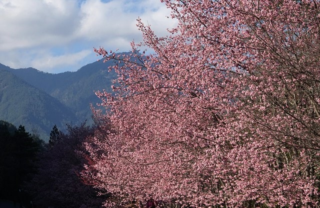 20251102-3tquf 20251102-3tquf