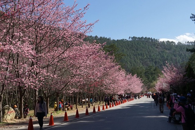 20251102-452vi 20251102-452vi