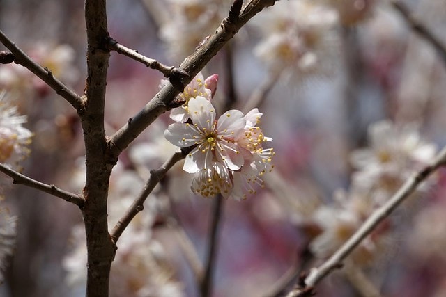 20251102-5qw3x 20251102-5qw3x