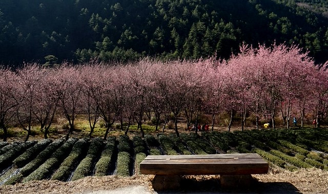 20251102-61ygy 20251102-61ygy