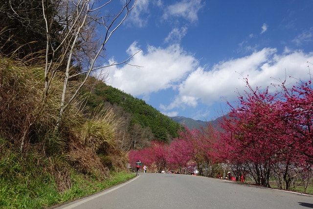 20251102-7t5ud 20251102-7t5ud