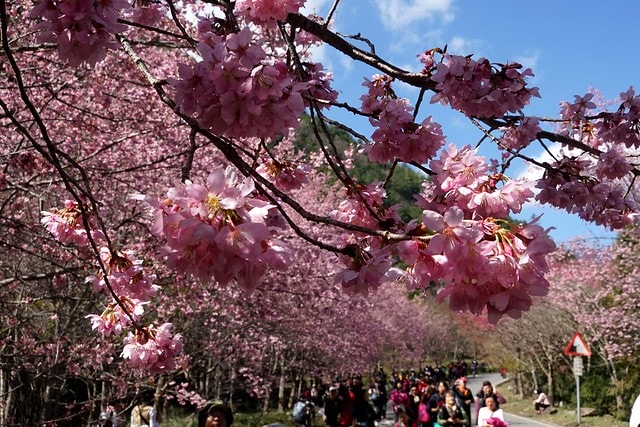 20251102-8j62n 20251102-8j62n