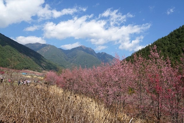 20251102-biwfr 20251102-biwfr