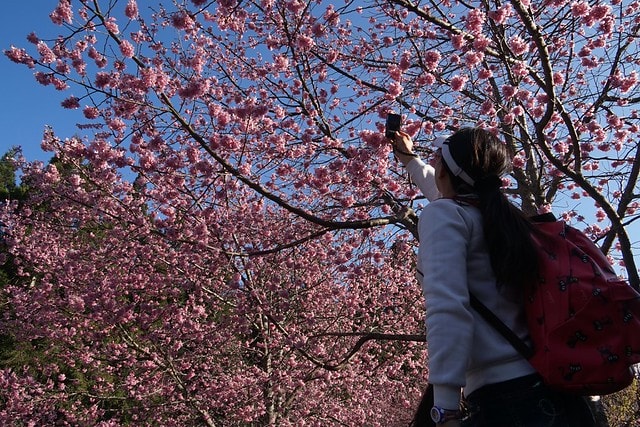 20251102-ctg2l 20251102-ctg2l