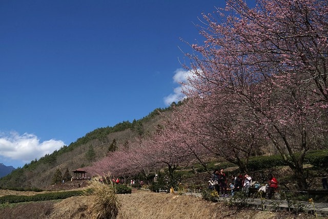 20251102-cue94 20251102-cue94