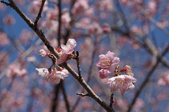 20251102-d0m6z 20251102-d0m6z