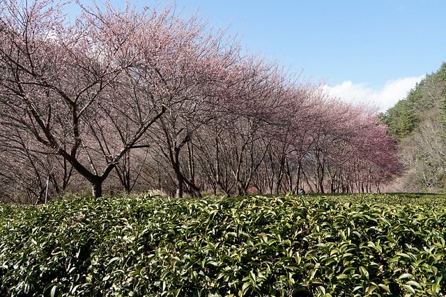 20251102-fu7ng 20251102-fu7ng